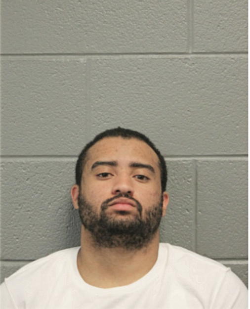 MATTHEW L WILLIAMS-AGPAWA, Cook County, Illinois