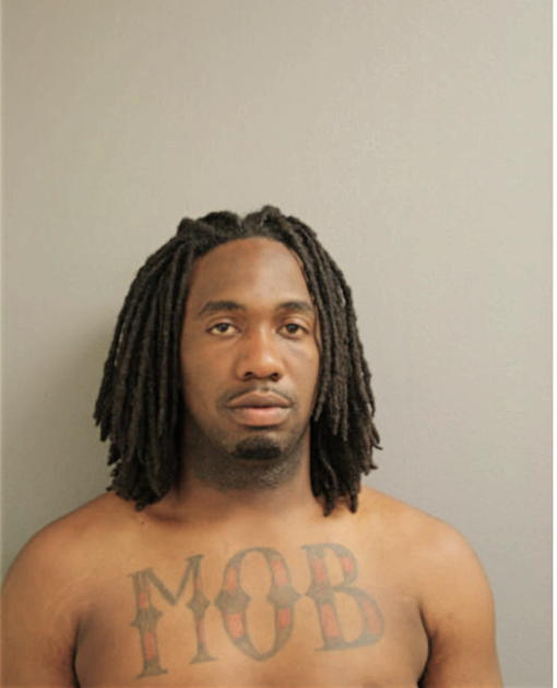 CHRISTOPHER J WILLIAMS, Cook County, Illinois