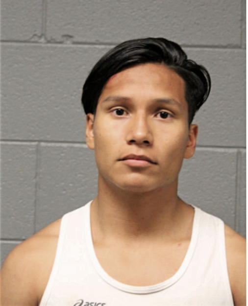 JOSHUA ZAMUDIO, Cook County, Illinois