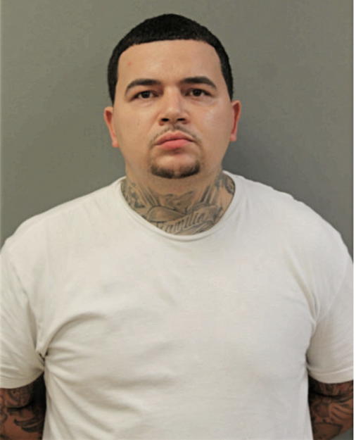 MARIO ALICEA, Cook County, Illinois