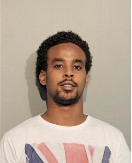 ADNAN K ARARSA, Cook County, Illinois