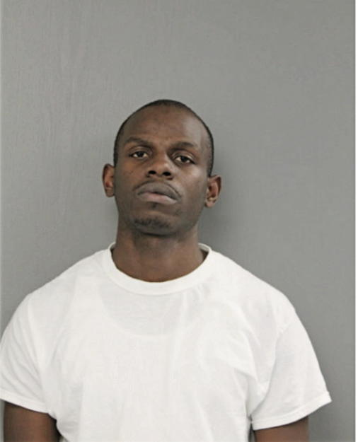 CHRISTOPHER L BROWN, Cook County, Illinois