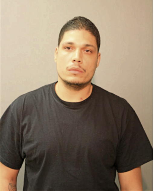 CARLOS R COTTO, Cook County, Illinois
