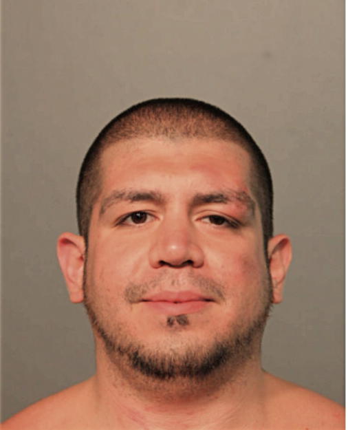 EDGAR DIAZ, Cook County, Illinois