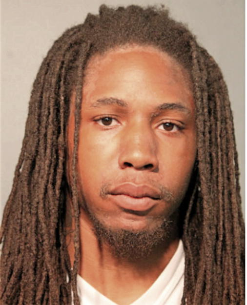 TERRELL T FERGUSON, Cook County, Illinois