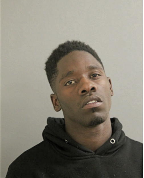 ANTHONY J HUDSON, Cook County, Illinois