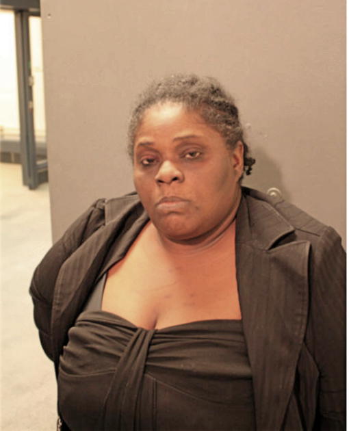 KIMBERLY E JOHNSON, Cook County, Illinois