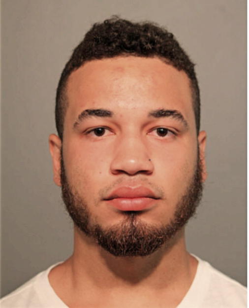 NOAH P JOHNSON, Cook County, Illinois