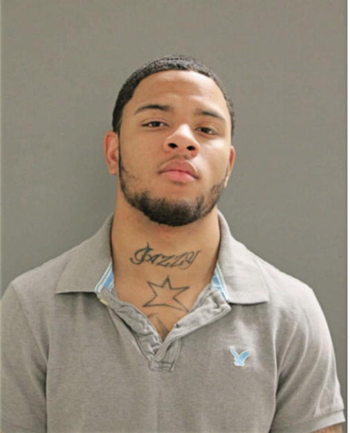 BRANDON L MCLAURIN, Cook County, Illinois