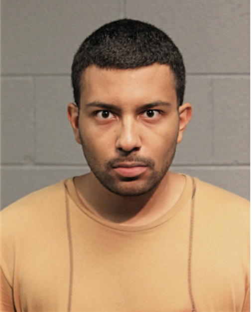 MATTHEW A MCNEIL, Cook County, Illinois