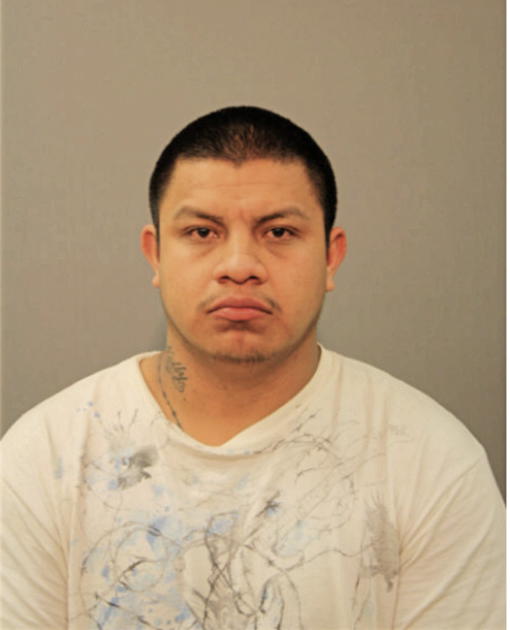 ENRIQUE MENDOZA, Cook County, Illinois