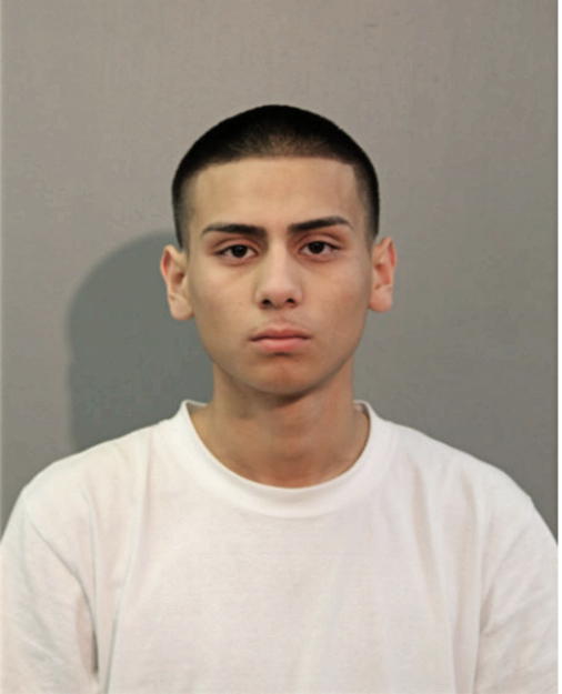 EDGAR M ORTEGA, Cook County, Illinois