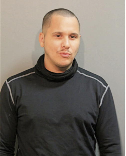 MICHAEL ORTIZ, Cook County, Illinois