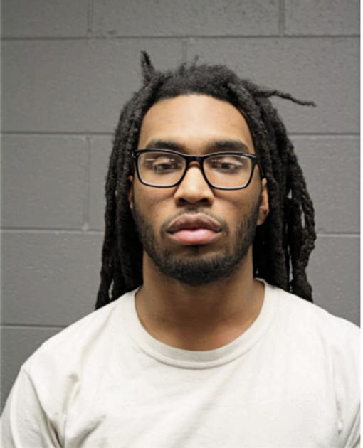 BRANDON G PAUL, Cook County, Illinois