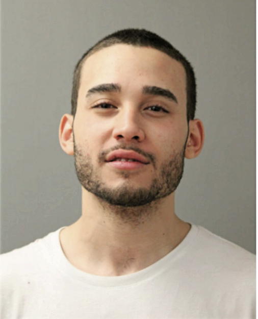ARIEL A PEREZ, Cook County, Illinois