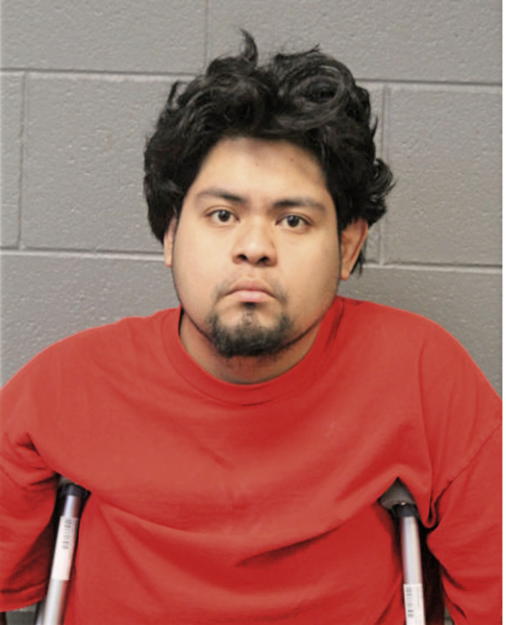 GIOVANNI N ROMAN, Cook County, Illinois