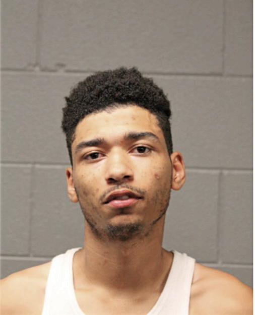 PARIS NUMON STEELE, Cook County, Illinois