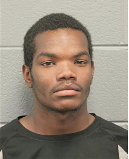 BRANDON T WESLEY, Cook County, Illinois