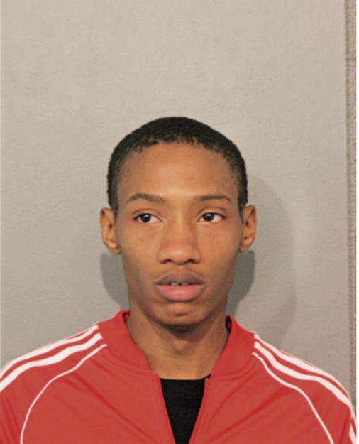 TAURUS YOUNG, Cook County, Illinois