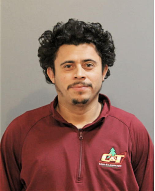 ALVAREZ A SANCHEZ, Cook County, Illinois