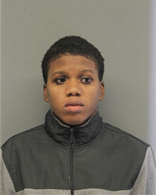 TANIKO K BOYD, Cook County, Illinois