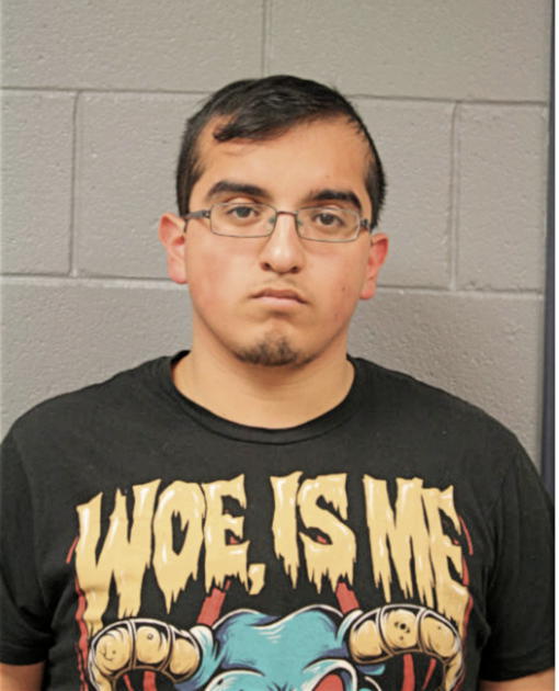 MARTIN CARRILLO, Cook County, Illinois