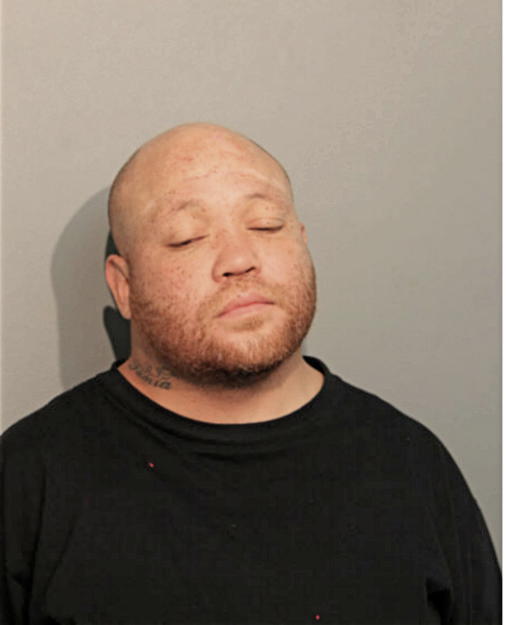 BRIAN D DYSON, Cook County, Illinois
