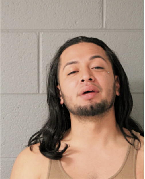 EDGAR G FIGUEROA, Cook County, Illinois