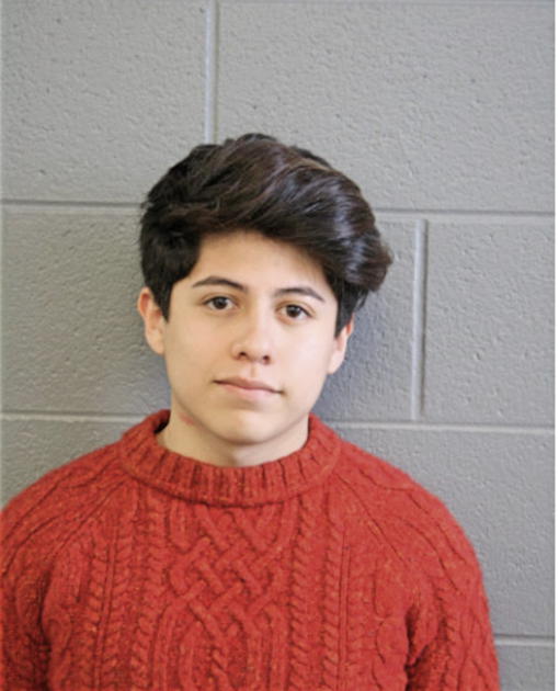JOSE D FLORES, Cook County, Illinois