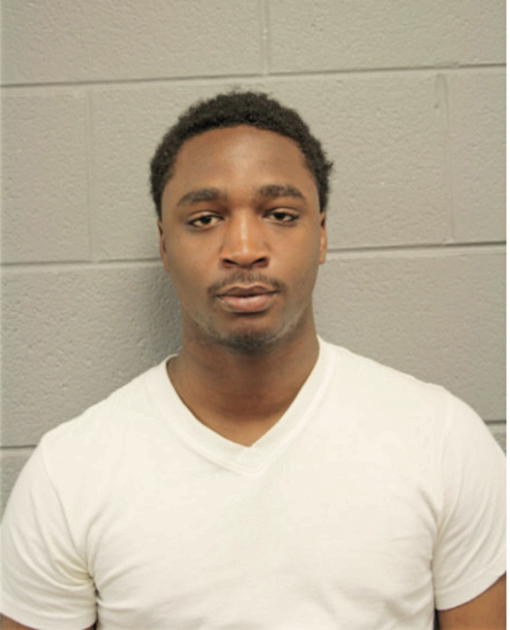 JOHNNIE D FORT, Cook County, Illinois