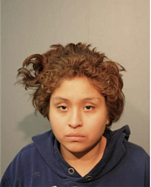 LILIANA J GARCIA, Cook County, Illinois
