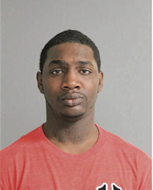 CHRISTOPHER L JOHNSON, Cook County, Illinois