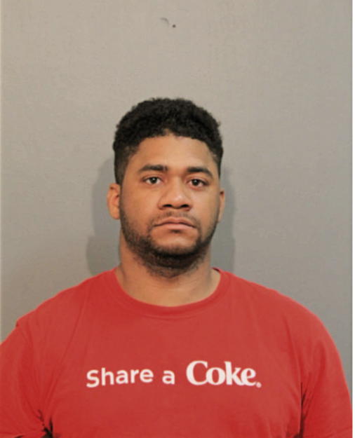 DERRICK E JOHNSON, Cook County, Illinois