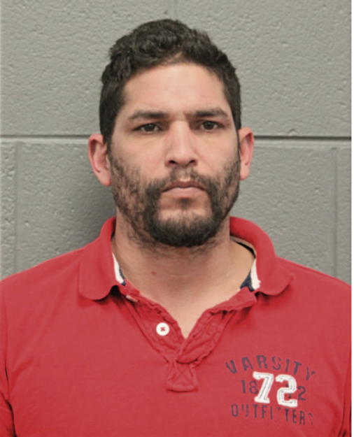 JUAN A LAGARES TORRES, Cook County, Illinois