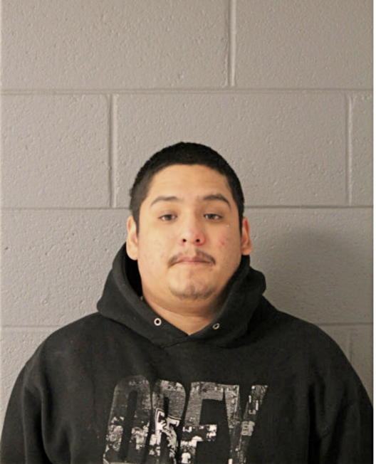OSCAR MARTINEZ, Cook County, Illinois