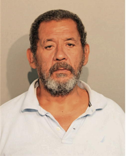 JOSEPH V PALAMARA, Cook County, Illinois