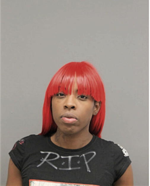 SHANISA M PINKSON, Cook County, Illinois