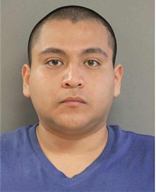 REBOCATO RUIZ, Cook County, Illinois