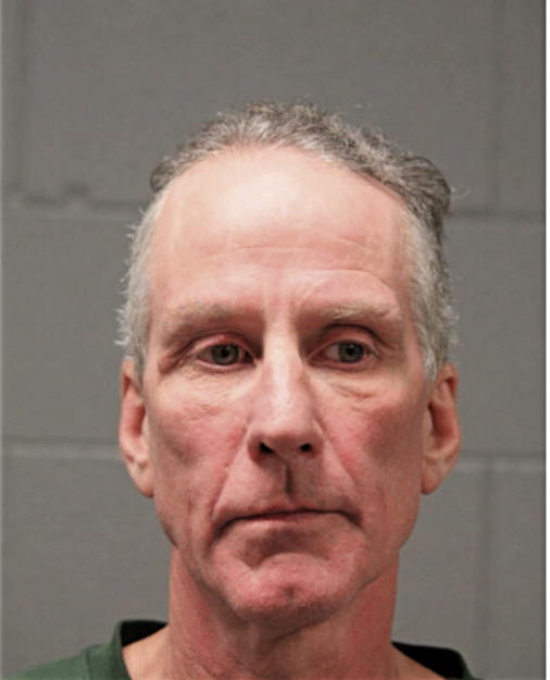 BRIAN S RYNNE, Cook County, Illinois