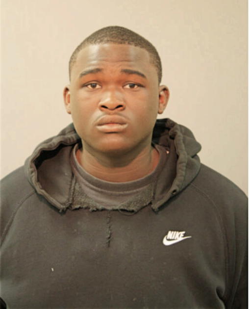 TAMAR K S GREEN, Cook County, Illinois