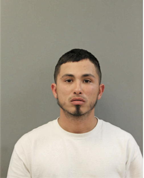 XAVIER SANTANA, Cook County, Illinois