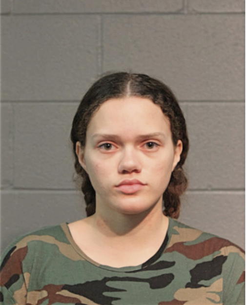 SARA A WHEELER, Cook County, Illinois