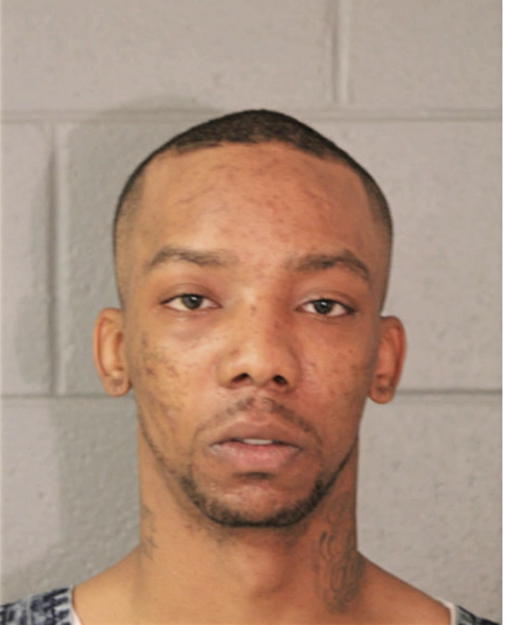 JAMES E WILLIAMS, Cook County, Illinois