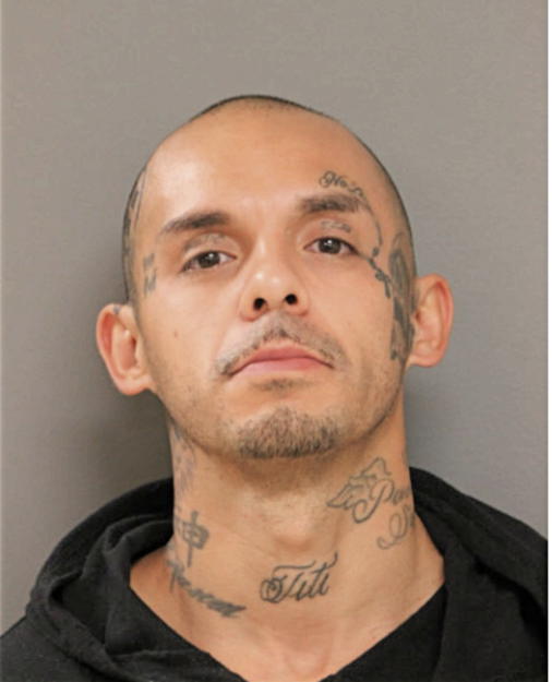 GEORGE L ZARAGOZA, Cook County, Illinois