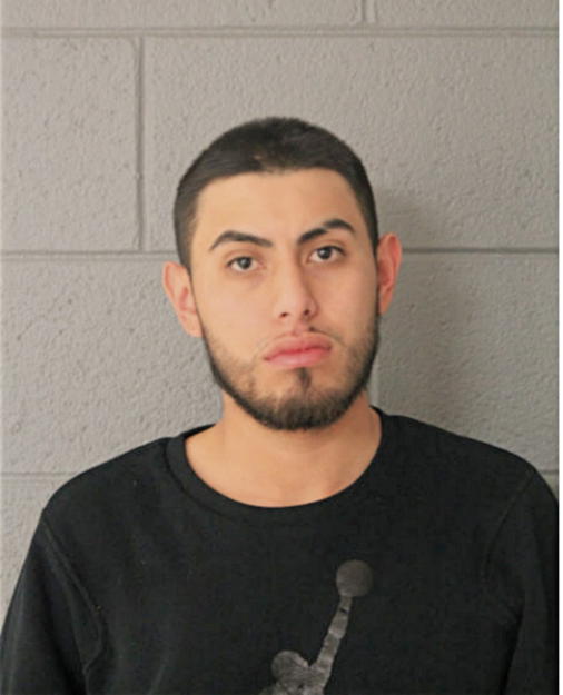 EDER ZARCO, Cook County, Illinois