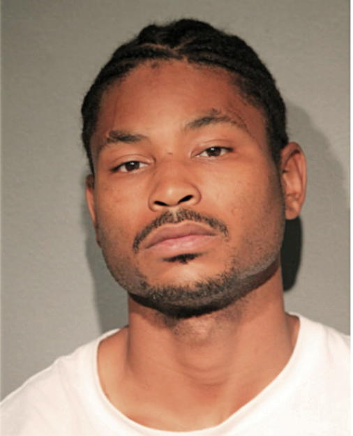 ML BRUCE, Cook County, Illinois