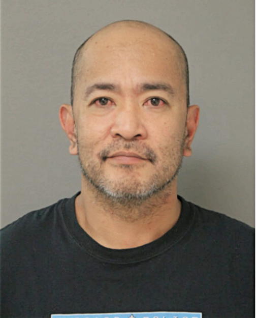 ROBERT V BULANON, Cook County, Illinois