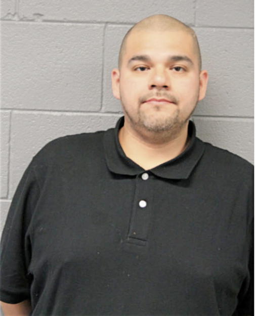 GERARDO J CORONADO, Cook County, Illinois