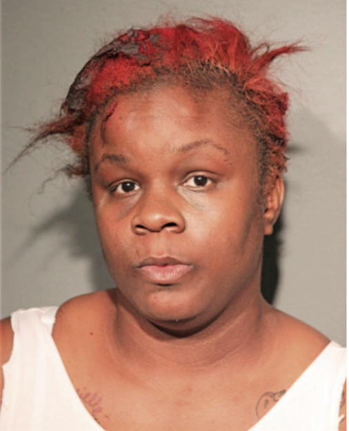HOLLIE P CRUMBLE, Cook County, Illinois