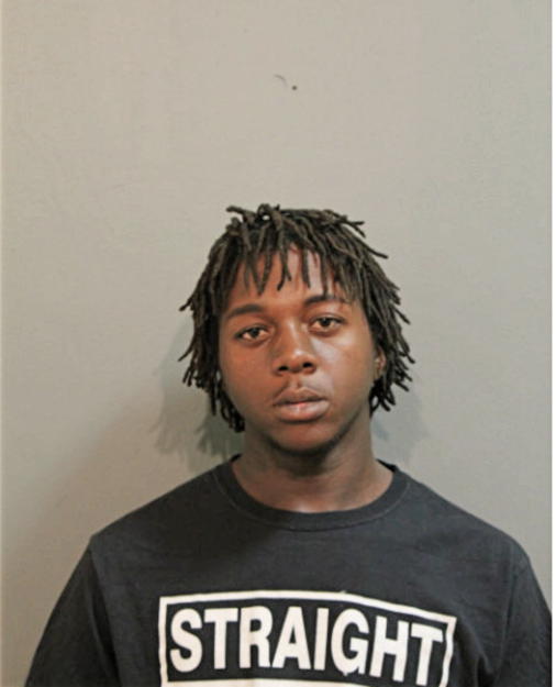 CHRISTOPHER DAVIS, Cook County, Illinois
